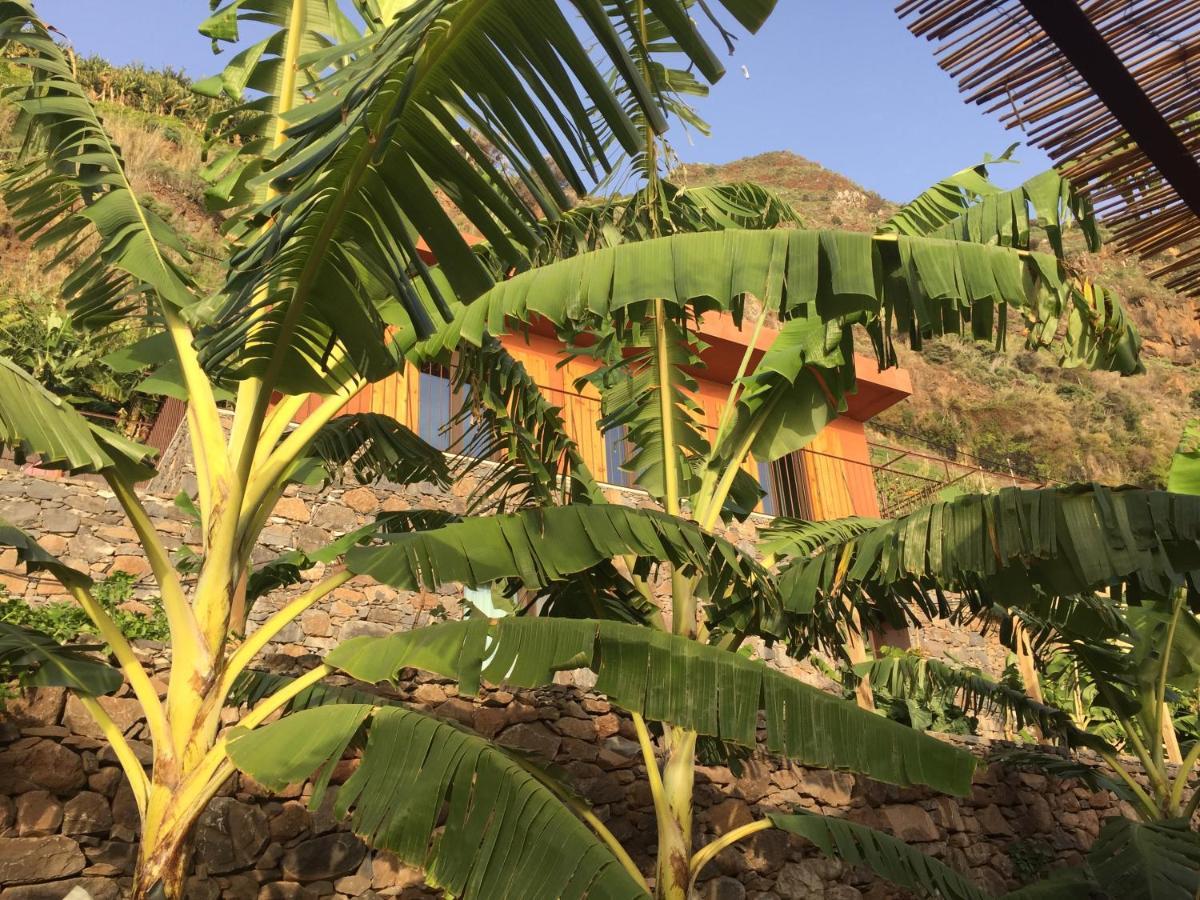 Villa Mango House Arco da Calheta  Exterior foto